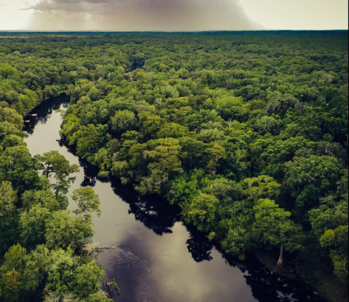 River cutting through a forest.